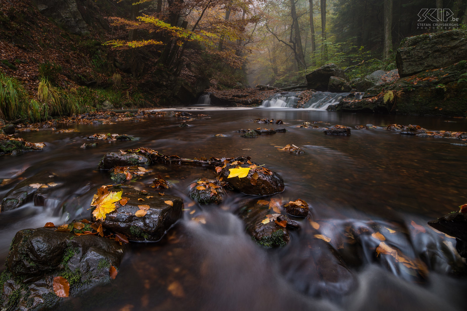 Autumn in the Ardennes - Höegne Autumn pictures of the beautiful region around Malmedy in the Belgian Ardennes. Some small waterfalls of the Hoëgne river near the village of Hockai. The Hoëgne is a tributary of the Weser and has a length of 30 kilometers.<br />
 Stefan Cruysberghs